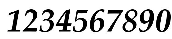 Palatino Полужирный Курсив Font, Number Fonts