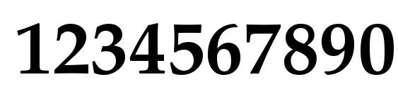 Palatino полужирный Font, Number Fonts