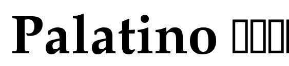 Palatino полужирный Font
