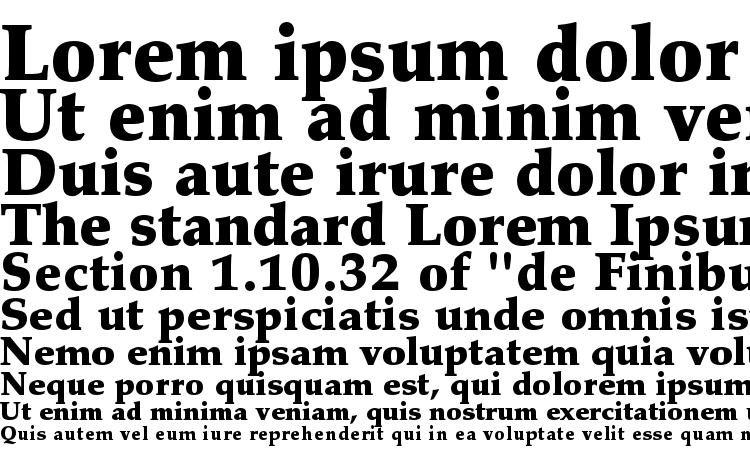 specimens PalatinoLTStd Black font, sample PalatinoLTStd Black font, an example of writing PalatinoLTStd Black font, review PalatinoLTStd Black font, preview PalatinoLTStd Black font, PalatinoLTStd Black font