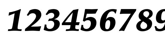 PalatinoLTStd BlackItalic Font, Number Fonts