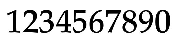 PalatinoLTStd Medium Font, Number Fonts