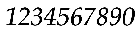 PalatinoLTStd MediumItalic Font, Number Fonts