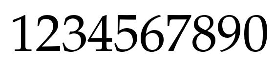 PalatinoLTStd Roman Font, Number Fonts