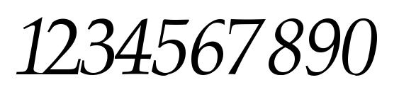 PalatinoR Italic Font, Number Fonts