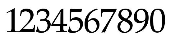 PalatinoR Font, Number Fonts