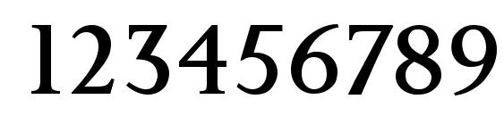 Palermo SF Font, Number Fonts