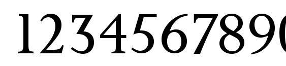 PalermoSerial Light Regular Font, Number Fonts