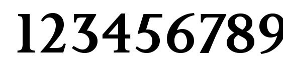 PalermoSerial Medium Regular Font, Number Fonts