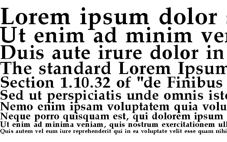 specimens Palisade Bold font, sample Palisade Bold font, an example of writing Palisade Bold font, review Palisade Bold font, preview Palisade Bold font, Palisade Bold font