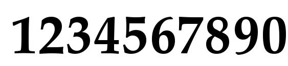 Palladio Bold Font, Number Fonts