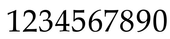 Palladio Regular Font, Number Fonts