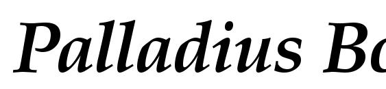 Palladius Bold Italic Font