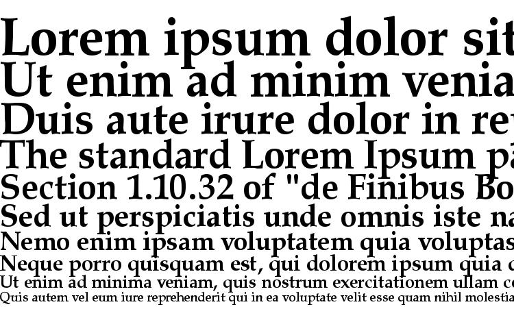 specimens Palladius Bold font, sample Palladius Bold font, an example of writing Palladius Bold font, review Palladius Bold font, preview Palladius Bold font, Palladius Bold font