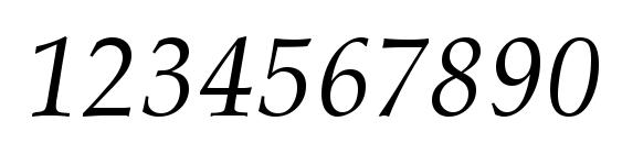 Palladius Italic Font, Number Fonts
