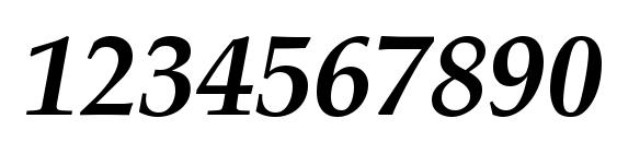 Palton BOLDITALIC Font, Number Fonts