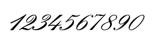 Pamplona Regular Font, Number Fonts