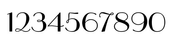 Paragonc Font, Number Fonts