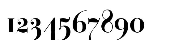 Paragonnordc Font, Number Fonts
