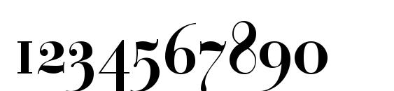 ParagonNordCTT Font, Number Fonts