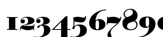 Paragonnordultraboldc Font, Number Fonts