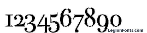 Parmapetitoutline Font, Number Fonts