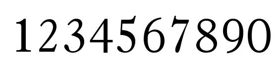 Partition SSi Font, Number Fonts