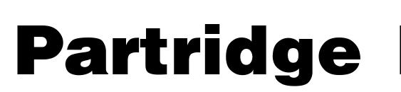 шрифт Partridge Black SemiBold, бесплатный шрифт Partridge Black SemiBold, предварительный просмотр шрифта Partridge Black SemiBold