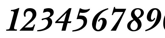 Pasma bold italic Font, Number Fonts