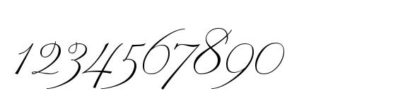 Penman Script Font, Number Fonts