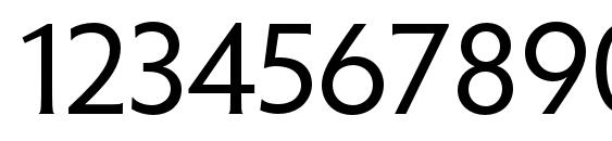 PenumbraFlareStd Regular Font, Number Fonts