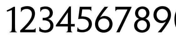 PenumbraHalfSerifStd Reg Font, Number Fonts