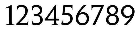 PenumbraSerifStd Regular Font, Number Fonts