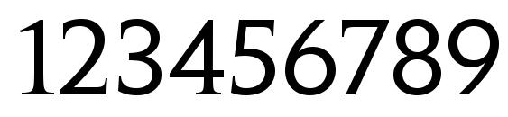 PenumbraWebPro Serif Font, Number Fonts
