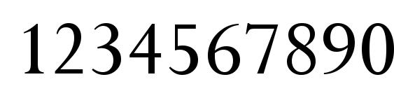 Persistent Regular Font, Number Fonts