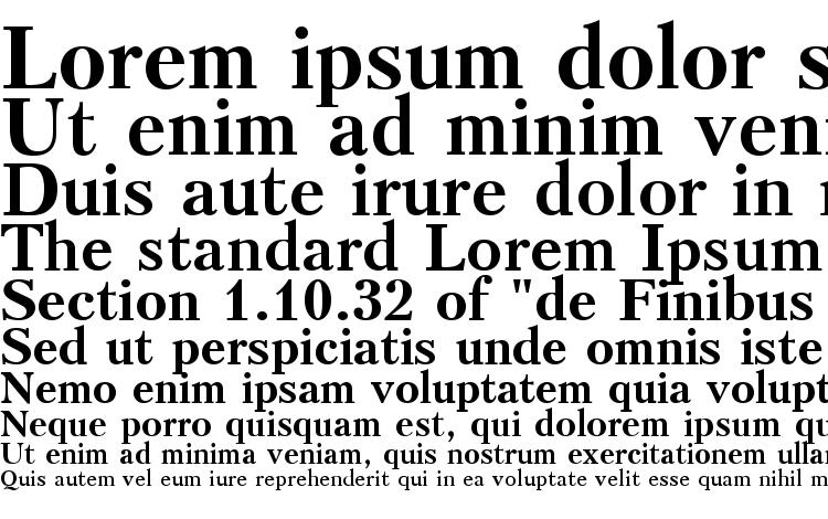 specimens Petersburg bold font, sample Petersburg bold font, an example of writing Petersburg bold font, review Petersburg bold font, preview Petersburg bold font, Petersburg bold font