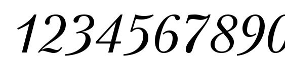 Petersburg Italic Cyrillic Font, Number Fonts