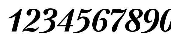 PetersburgCTT BoldItalic Font, Number Fonts