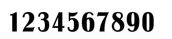 Petrarka Font, Number Fonts