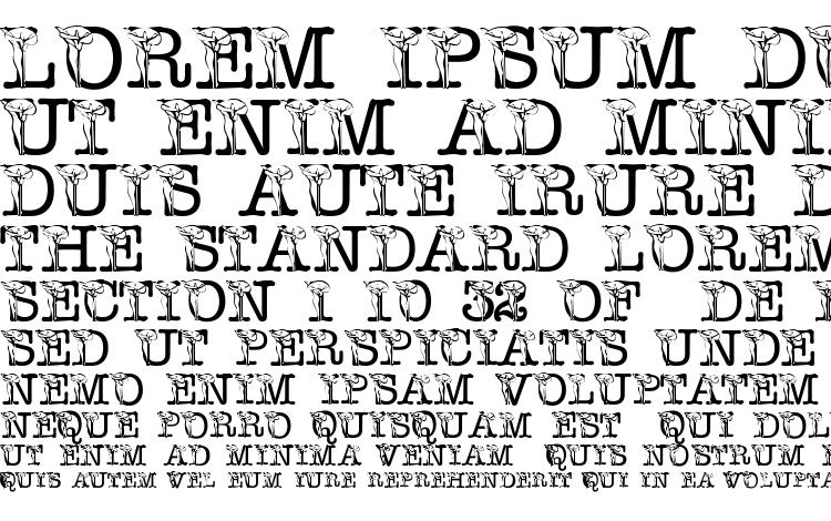 specimens pf calla font, sample pf calla font, an example of writing pf calla font, review pf calla font, preview pf calla font, pf calla font