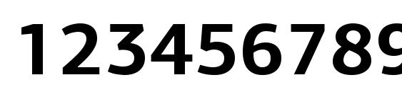 PFAgoraSansPro Bold Font, Number Fonts