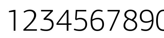 PFAgoraSansPro Light Font, Number Fonts