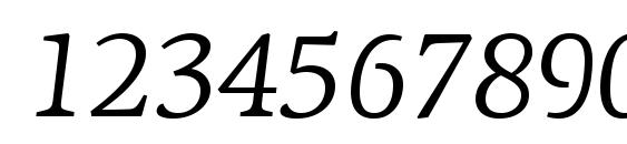 PFAgoraSerifPro Italic Font, Number Fonts