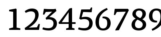 PFAgoraSerifPro Medium Font, Number Fonts