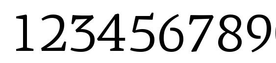 PFAgoraSerifPro Regular Font, Number Fonts