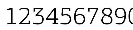 PFAgoraSlabPro Light Font, Number Fonts