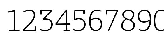 PFAgoraSlabPro Thin Font, Number Fonts