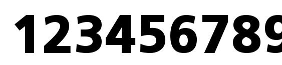 PFCatalog Black Unicode Font, Number Fonts