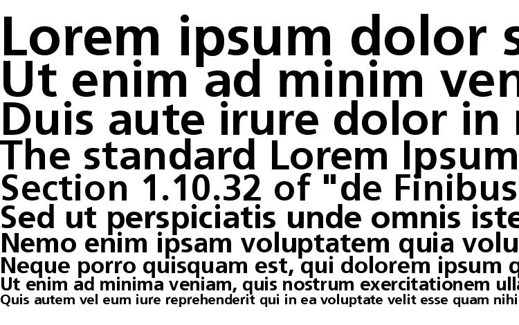 specimens PFCatalog Bold font, sample PFCatalog Bold font, an example of writing PFCatalog Bold font, review PFCatalog Bold font, preview PFCatalog Bold font, PFCatalog Bold font