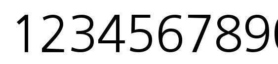 PFCatalog Light Unicode Font, Number Fonts